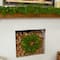 20in. Pre-Lit Artificial Real Touch Norfolk Island Pine Wreath with 35 Warm White LED Lights and Natural Look